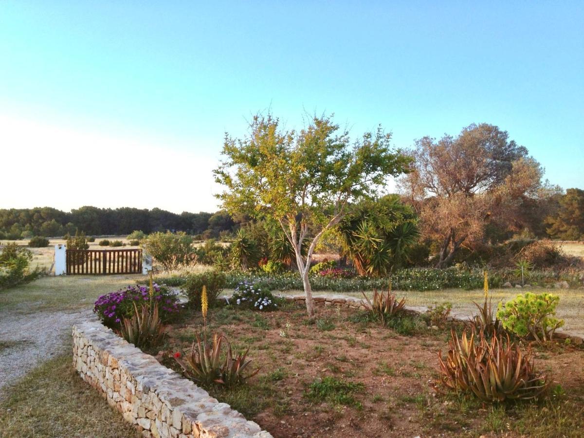 Ses Oliveres Villa Cala Saona Buitenkant foto