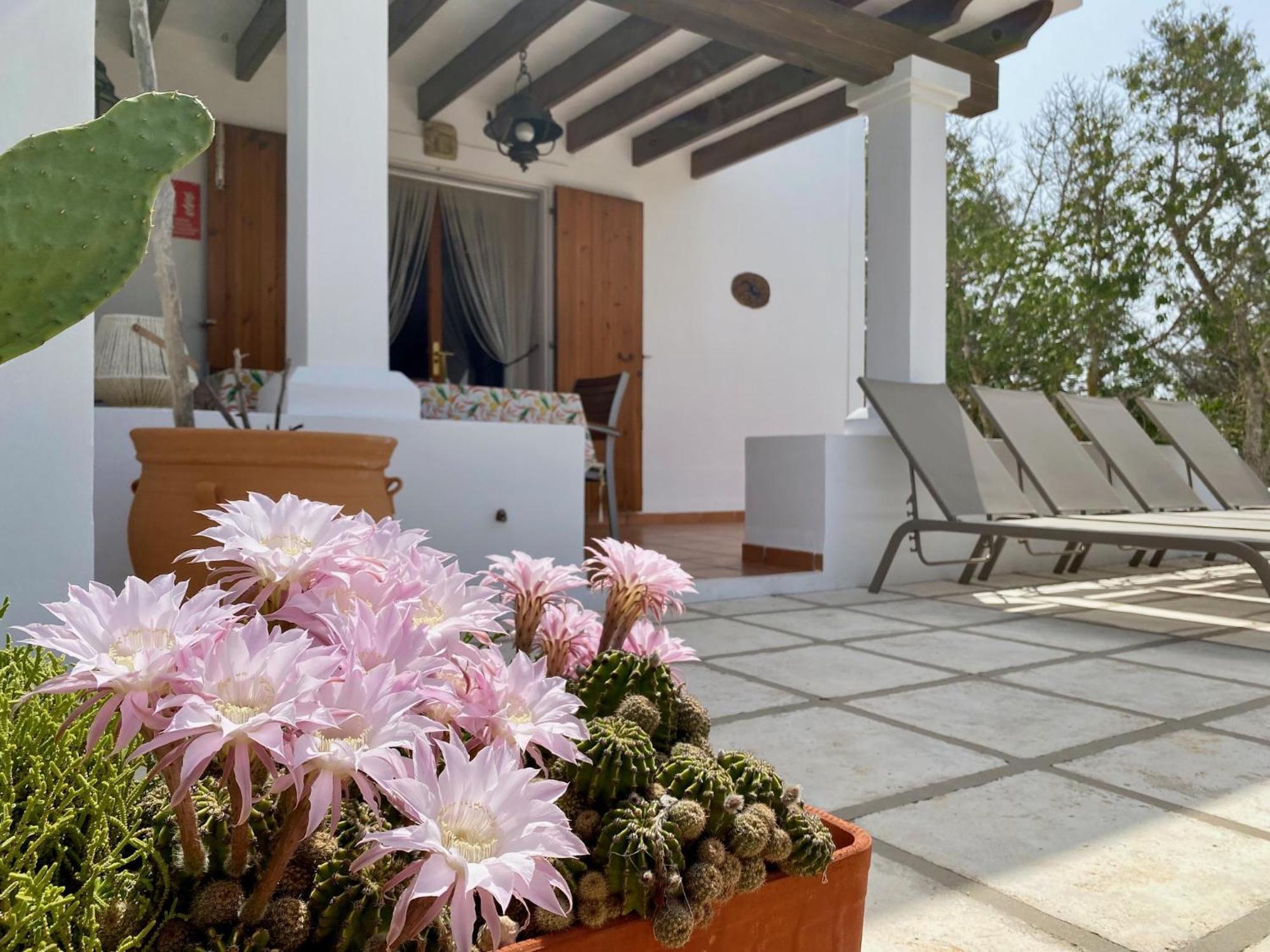 Ses Oliveres Cala Saona Buitenkant foto