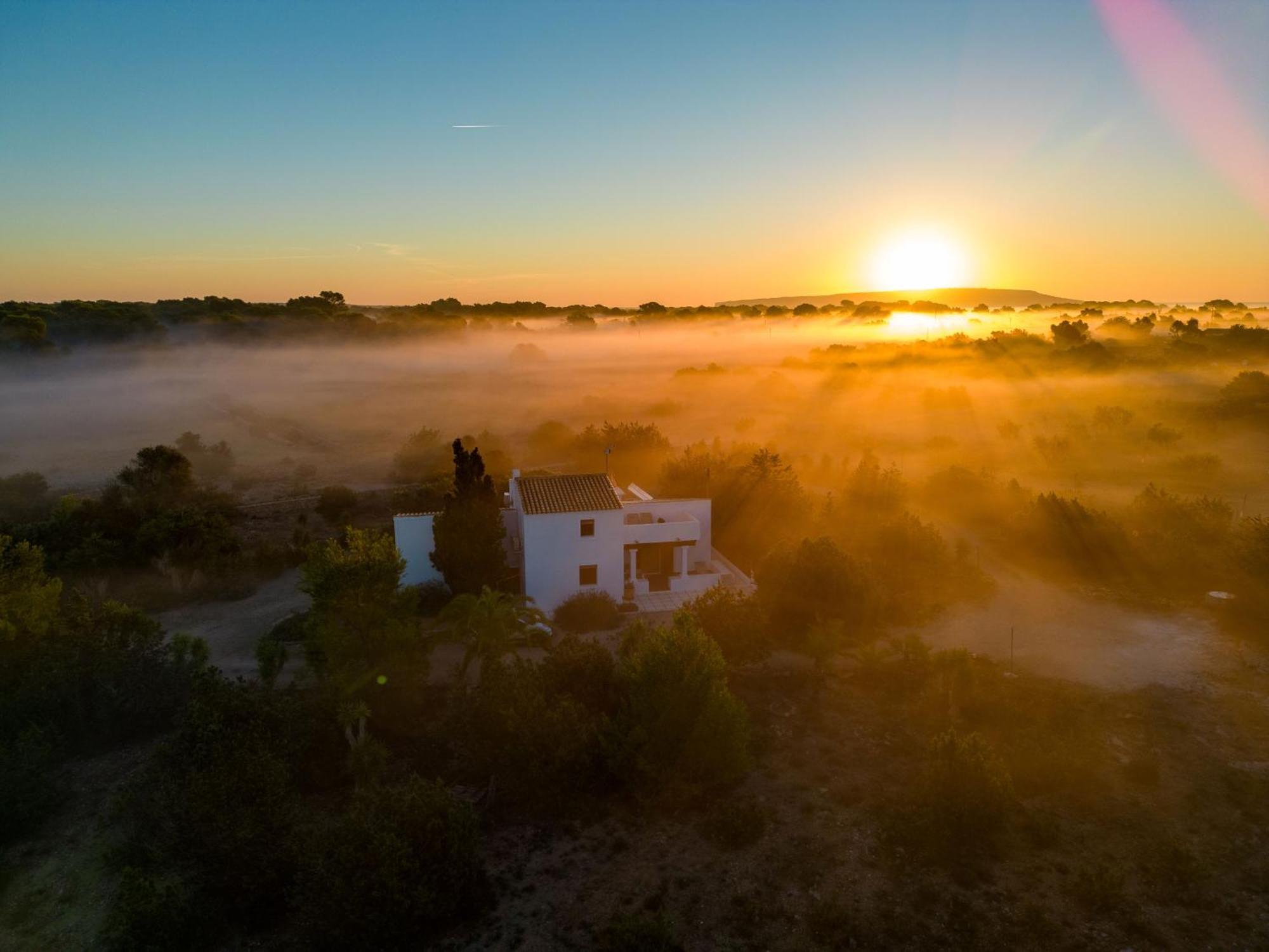 Ses Oliveres Villa Cala Saona Buitenkant foto