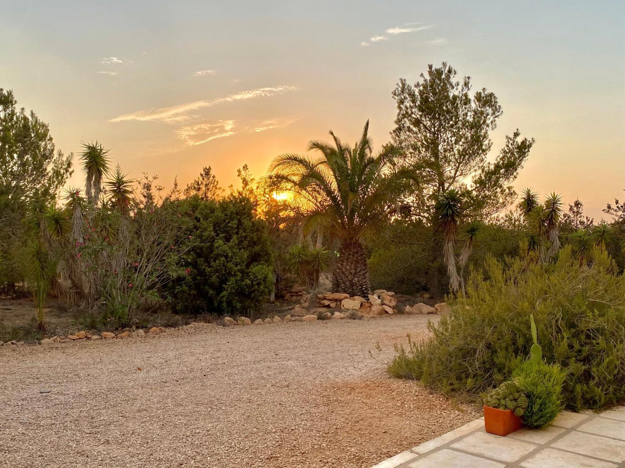 Ses Oliveres Villa Cala Saona Buitenkant foto